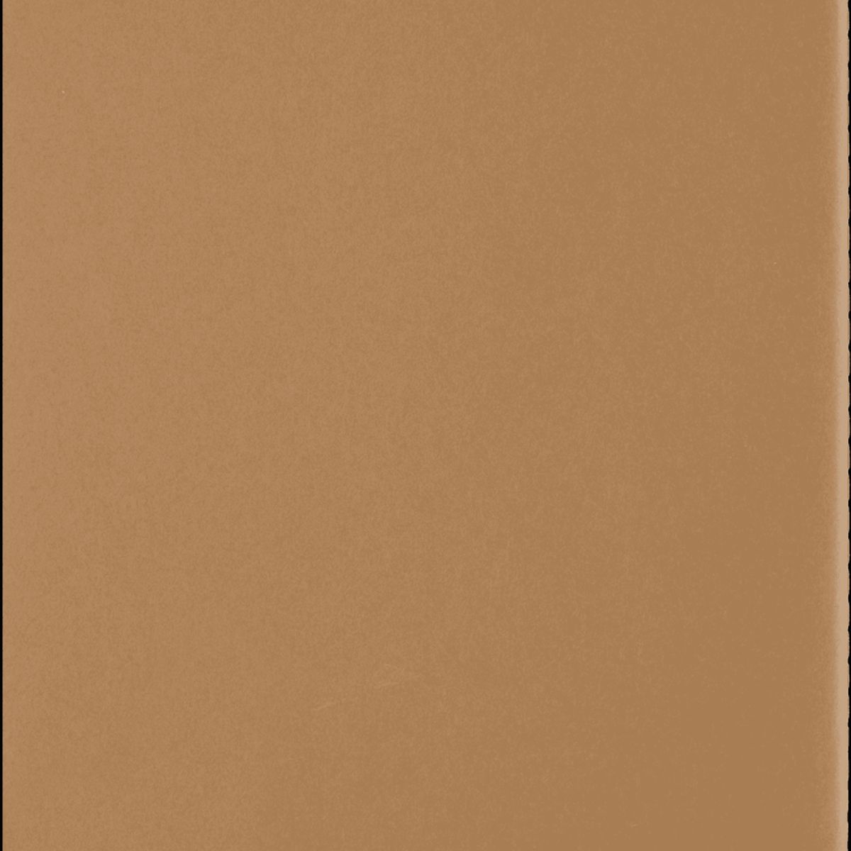 MOLESKINE - Cahier Ed. Limit. Wizarding World Harry Potter XL De rayas