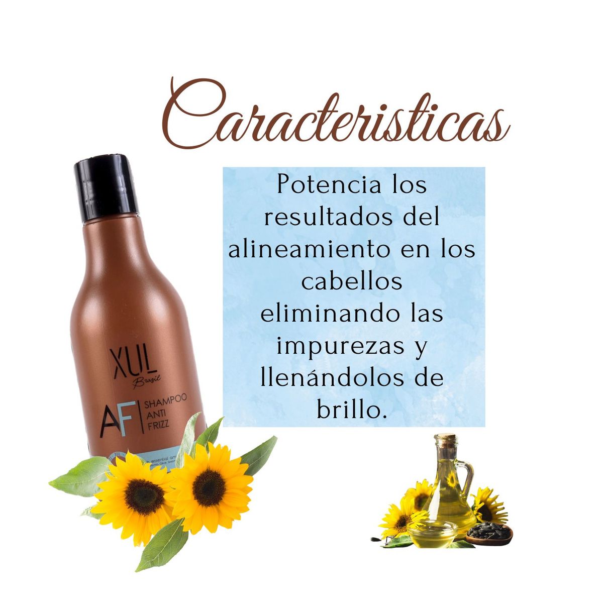 GAMA - Shampoo Antifrizz Xul Brasil  250ml  Anti Frizz, Reparador