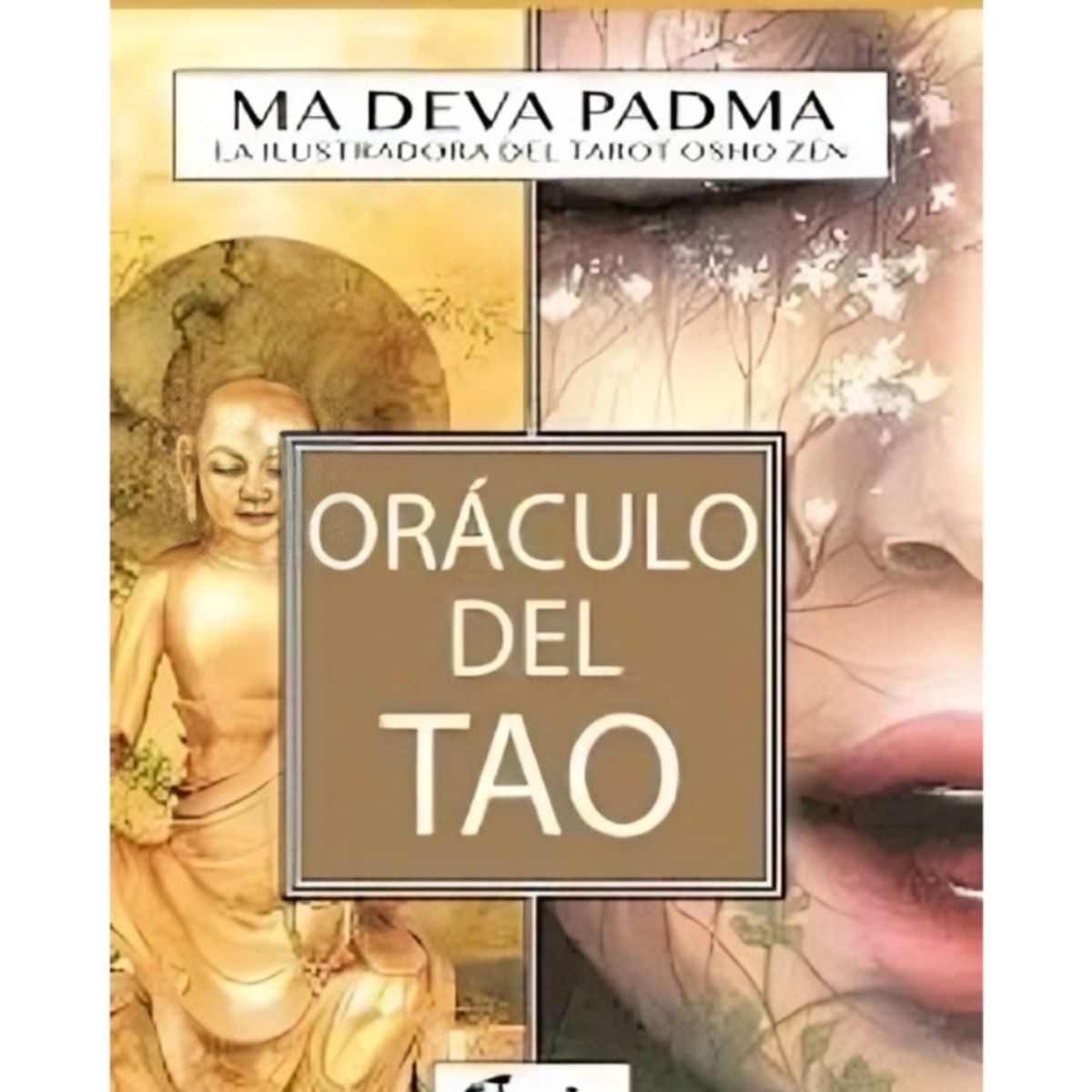 TOP10BOOKS - Oráculo Del Tao (Cartas)