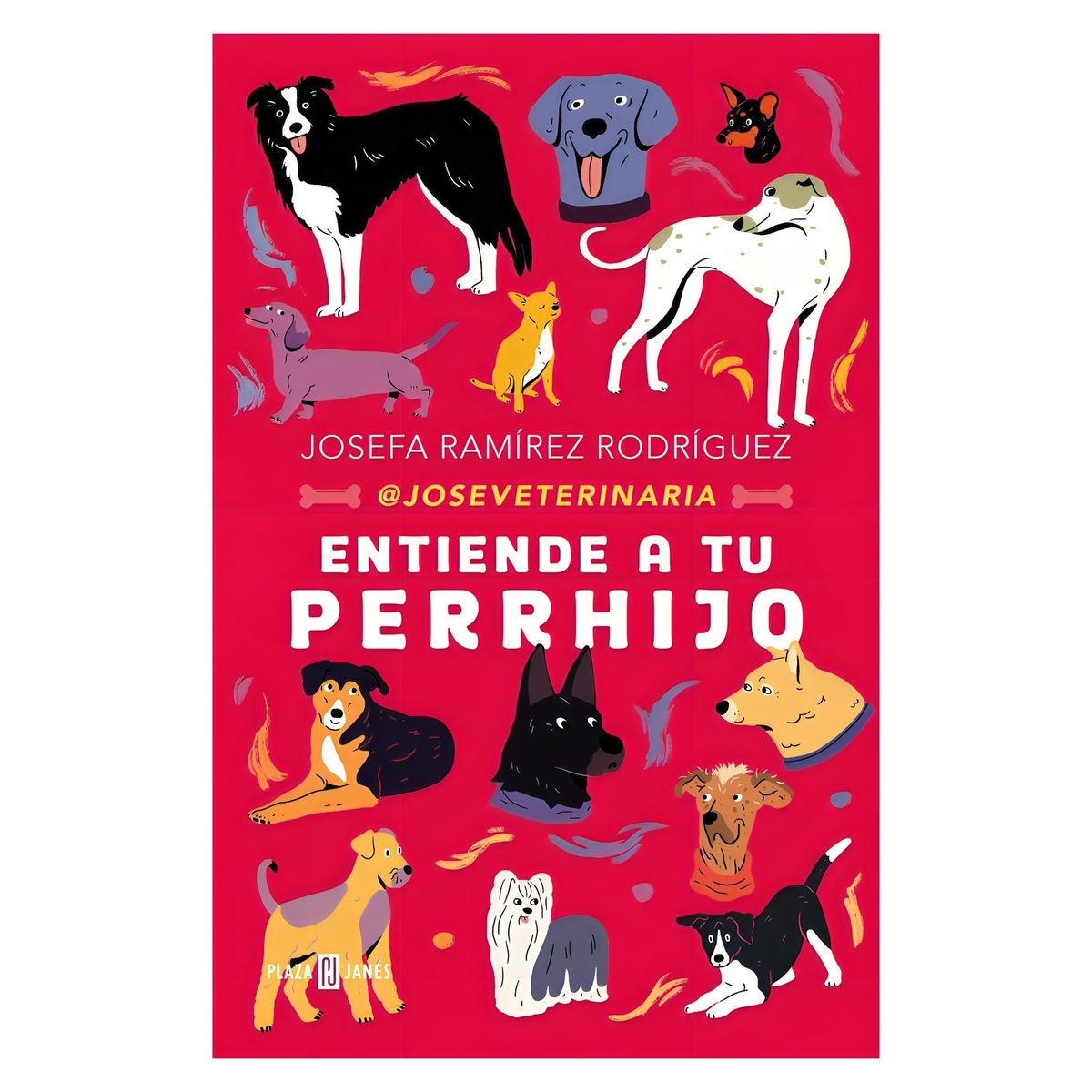 TOP10BOOKS - LIBRO Entiende A Tu Perrhijo - Entiende A Tu Perrhijo