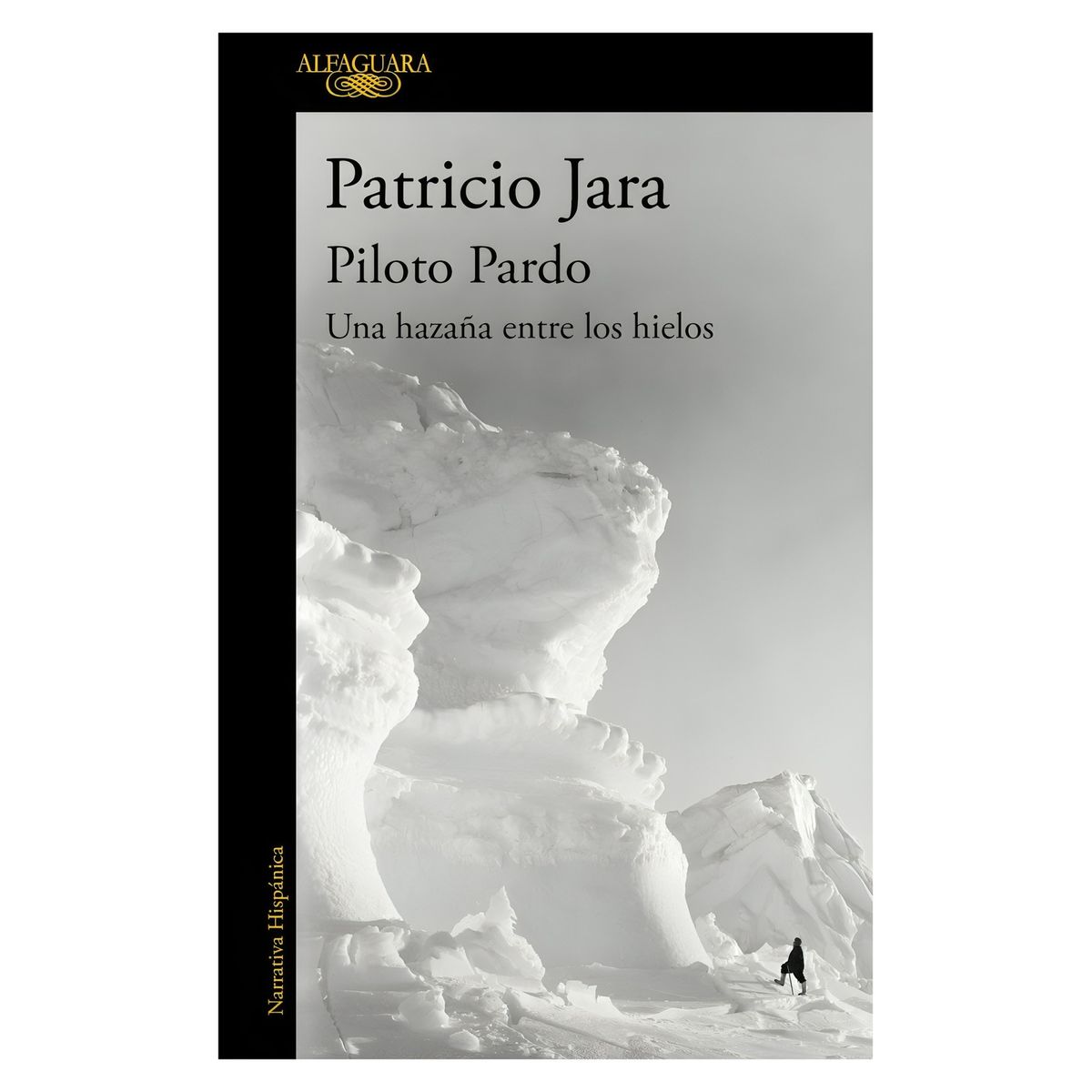 TOP10BOOKS - LIBRO Piloto Pardo, Una Hazaña Entre Los Hielos