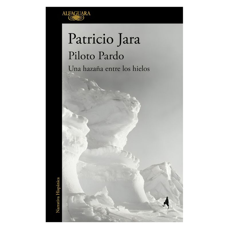 TOP10BOOKS - LIBRO PILOTO PARDO, UNA HAZAÑA ENTRE LOS HIELOS / ALFAGUARA / PATRICIO JARA
