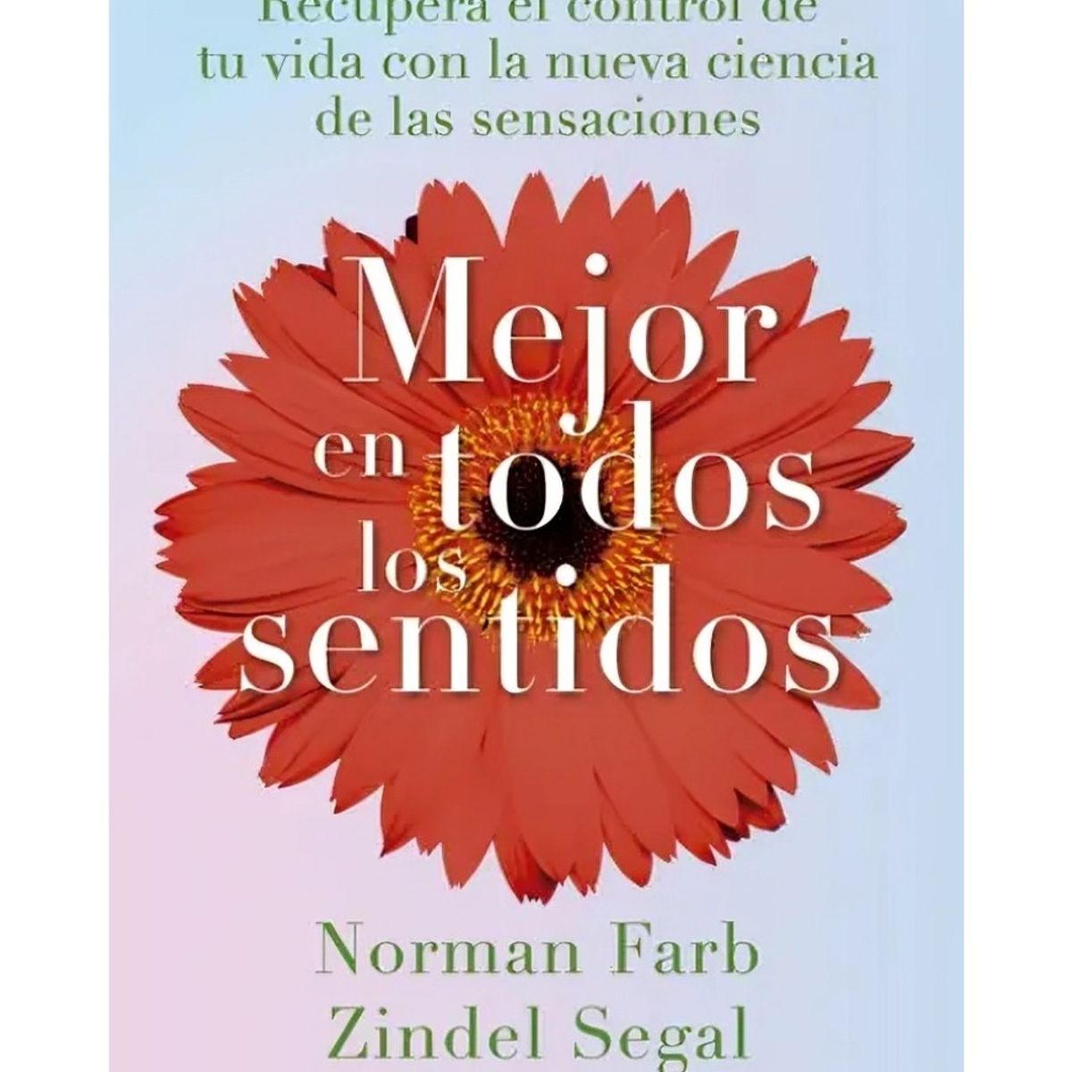 TOP10BOOKS - LIBRO Mejor En Todos Los Sentidos - Mejor En Todos Los Sentidos
