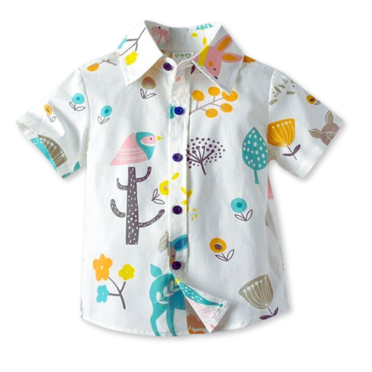 JUMP KIDS - Conjunto de Vestir Pantalón y Tirantes Bebé Niño 9 meses a 6 años