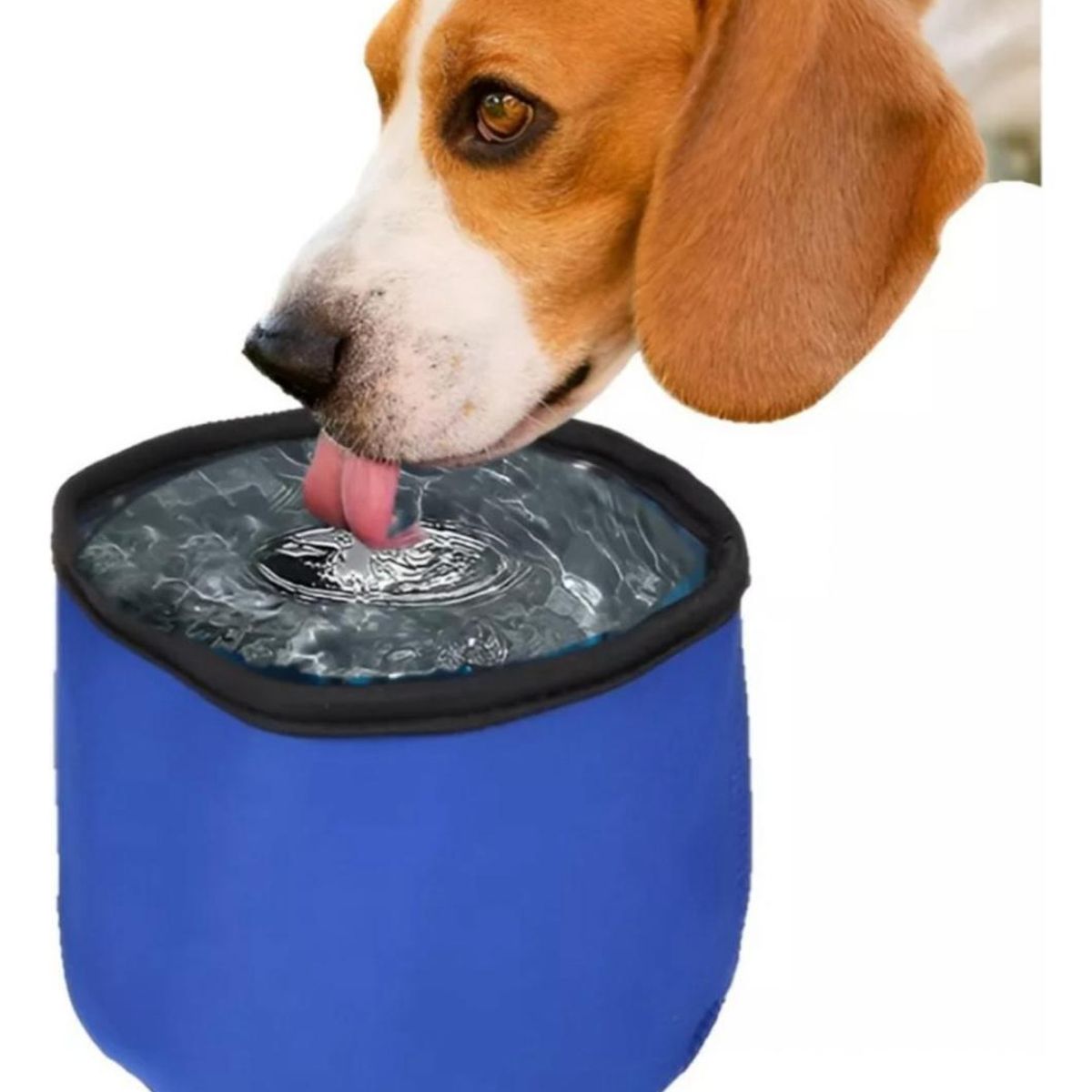 GENERICO - Bebedero Tazon Gel Refrescante 295ml Para Mascotas