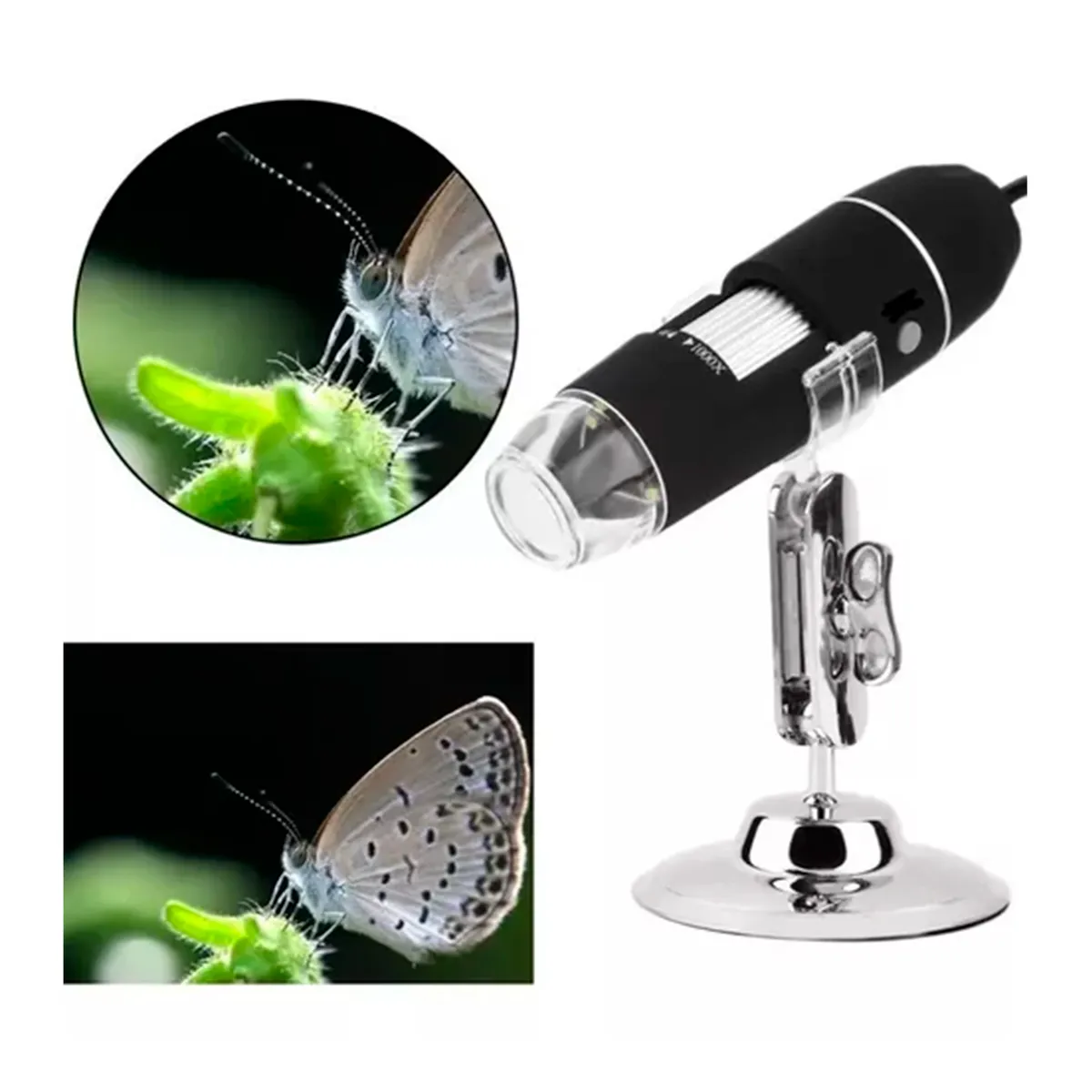 GENERICO - Microscopio Digital Usb 1000x Cámara Con 8 LED PC