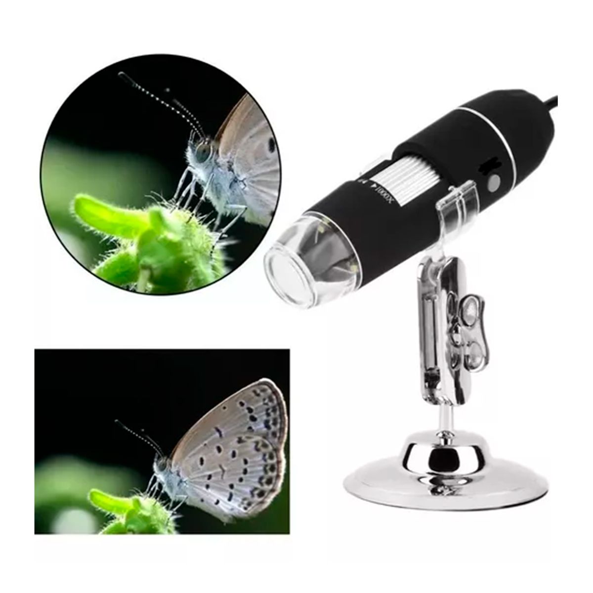 GENERICO - Microscopio Digital Usb 1000x Cámara Con 8 LED PC