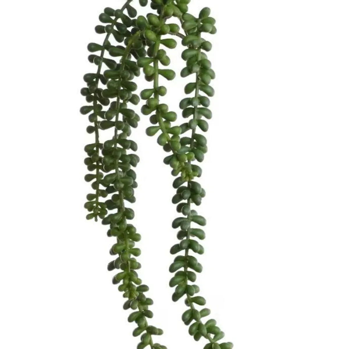 GENERICO - Plan Artificial Suculenta Colgan Artificial Decorativas 78cm