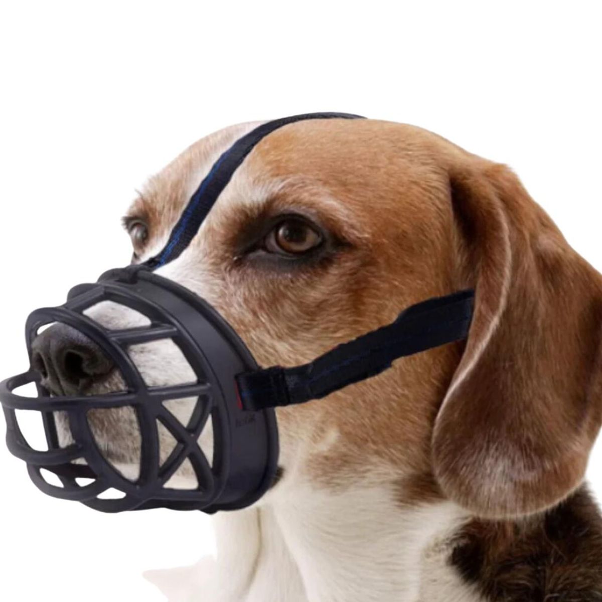 GENERICO - Bozal Reforzado de Silicona para Perros Talla XL 11x11x14cm