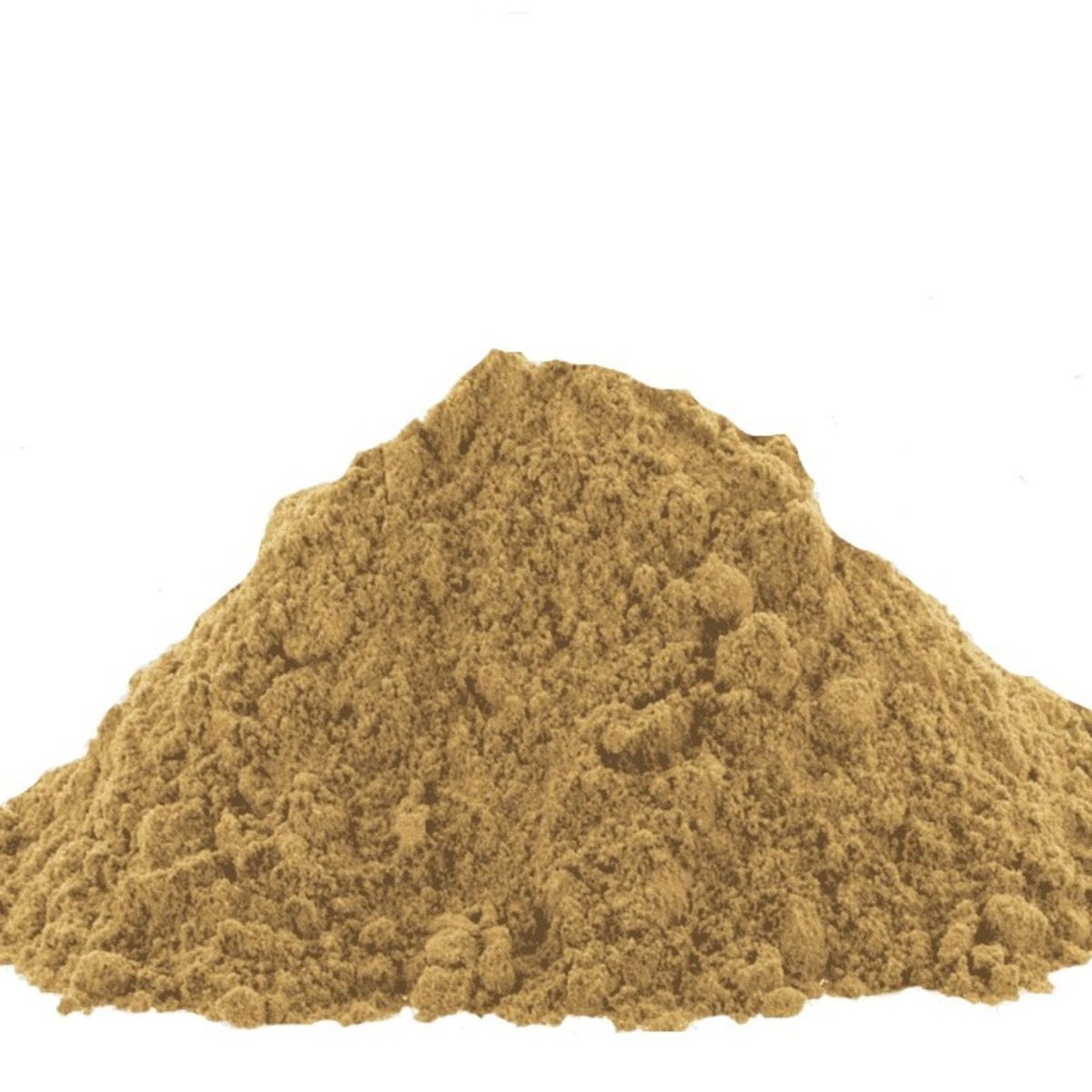 GENERICO - Garam Massala La Especieria 45g