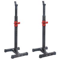 Home Gym Squat Rack Force Line 100