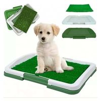 Baño Para Cachorros, Alfombra Pasto Sintetico, Perros