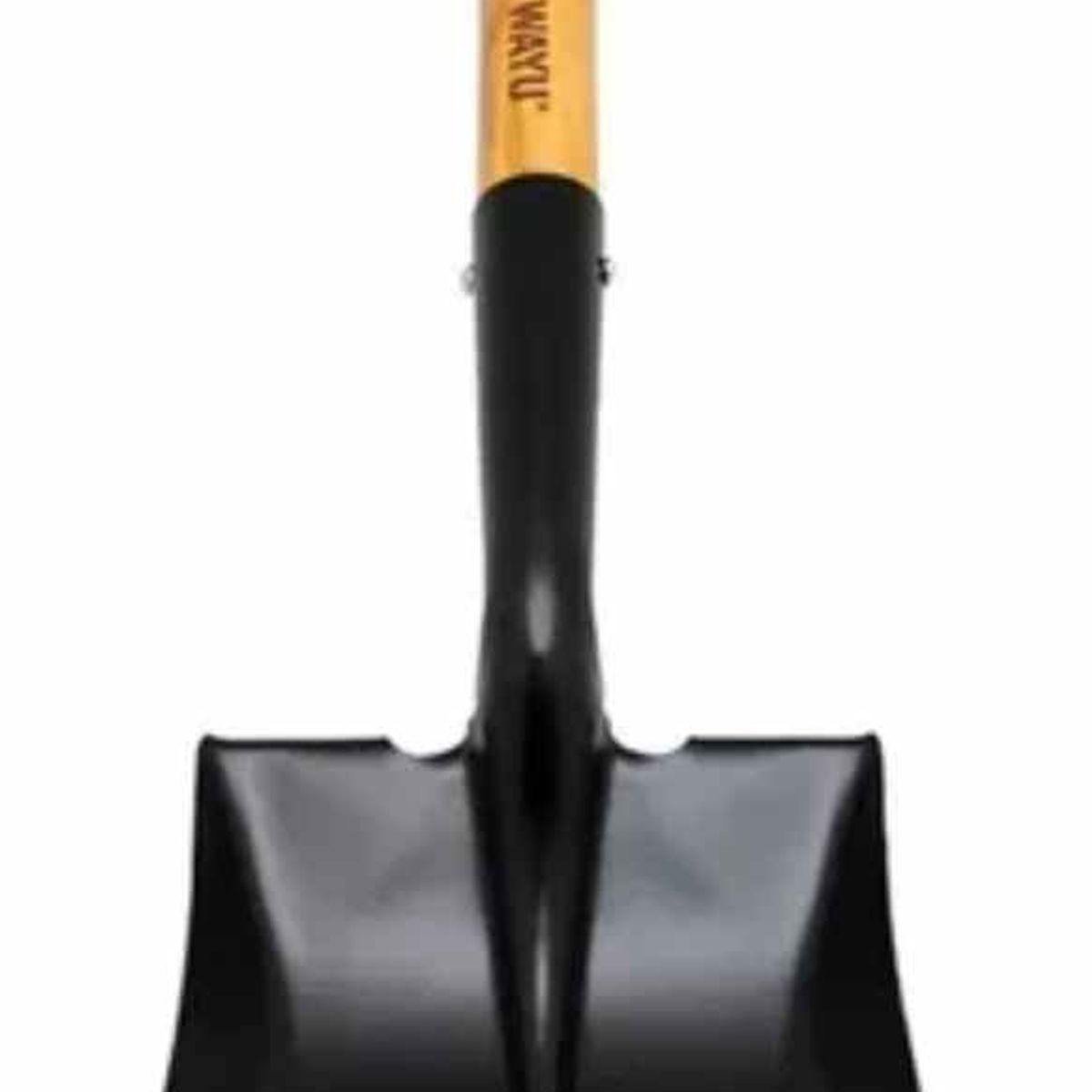 WAYU - PALA  ASADO CARBONERA WAYU