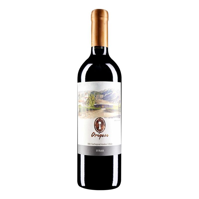 VALLE SECRETO - Vino Valle Secreto Origen Syrah