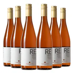 BODEGAS RE - 6 Vinos Pinotel - Rojo