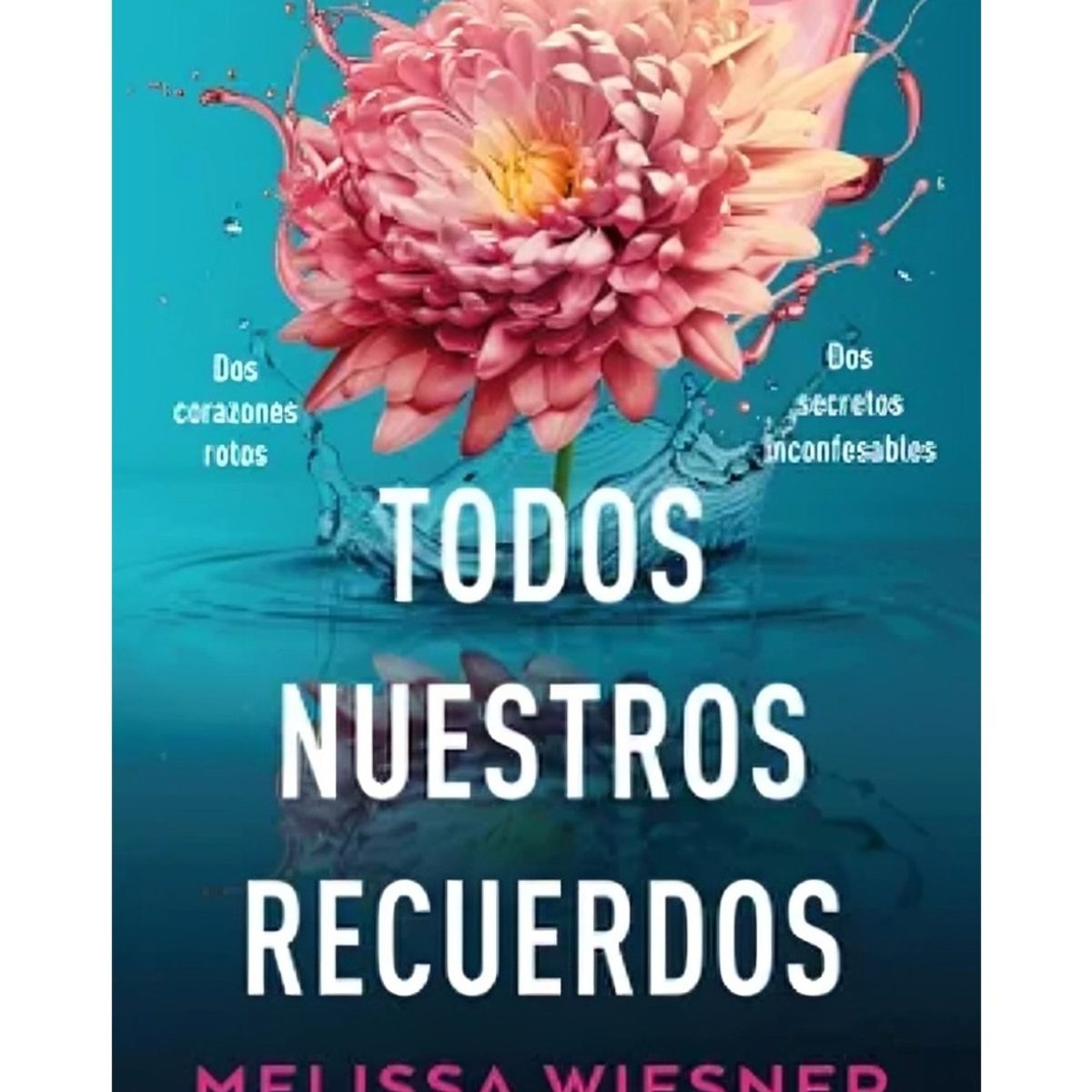 TOP10BOOKS - LIBRO Todos Nuestros Recuerdos - Todos Nuestros Recuerdos