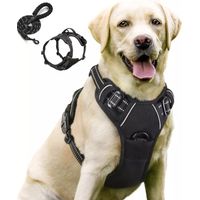 Arnés Ajustable Para Perros Medianos Y Grandes