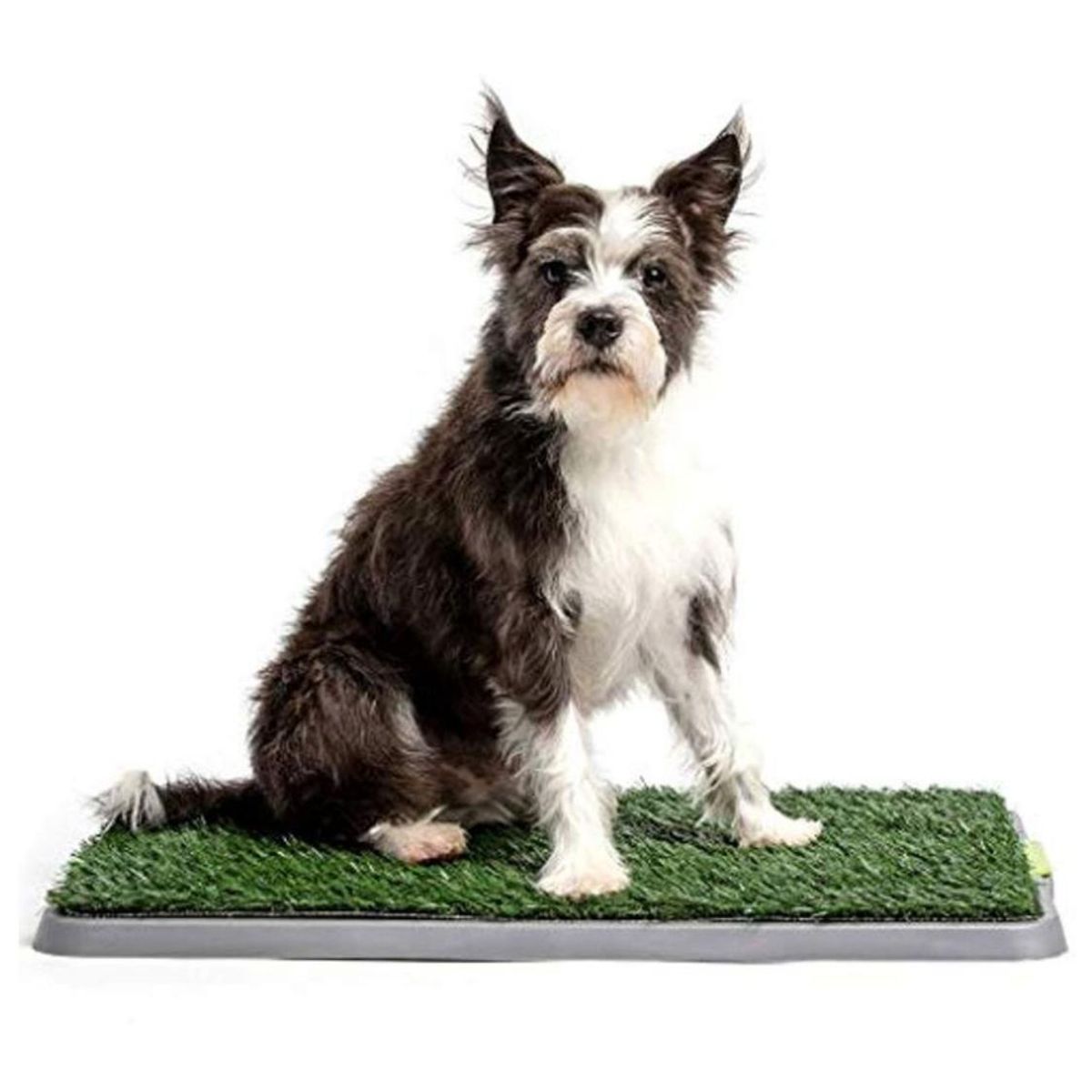 GENERICO - Baño de pasto entrenamiento para perros 68x44cm