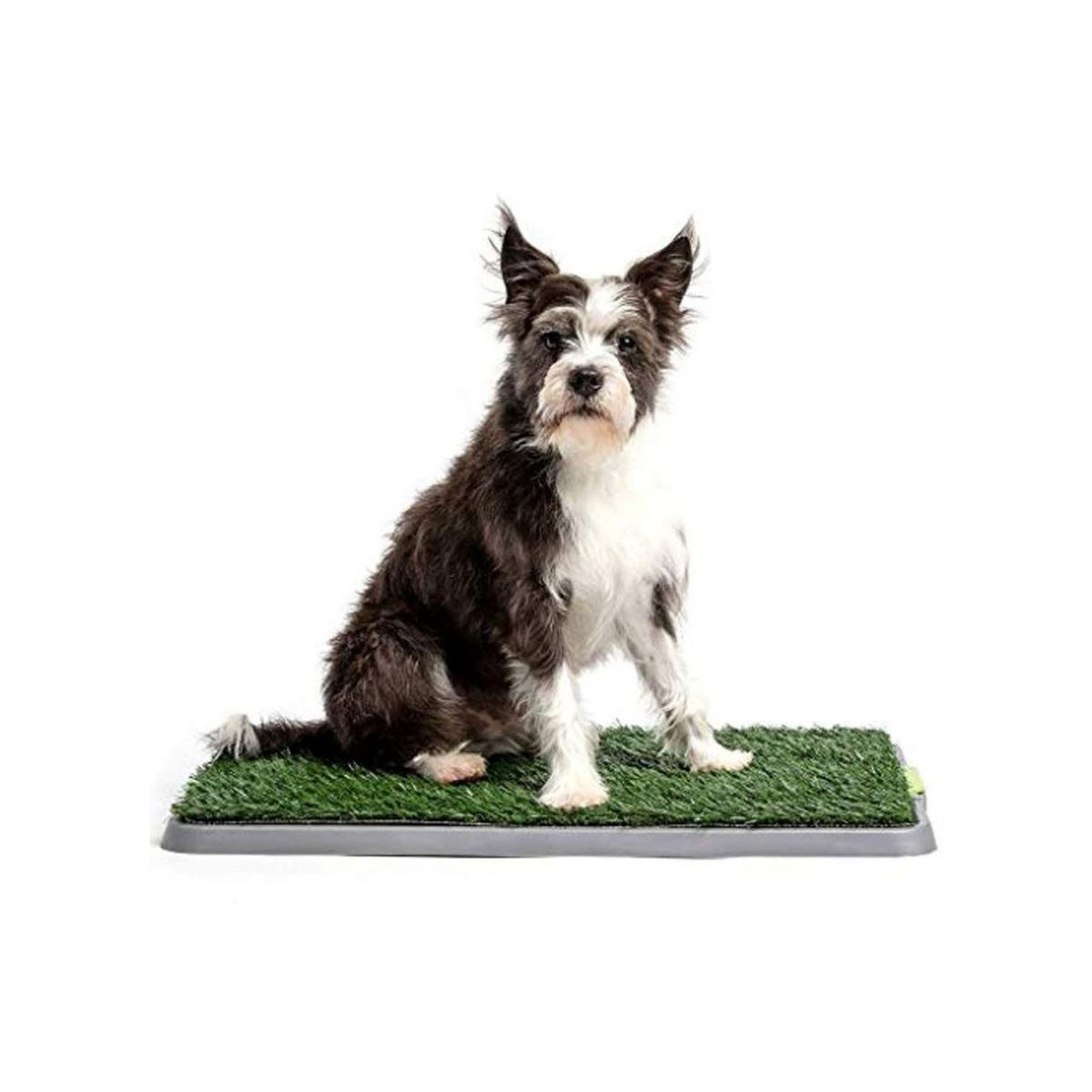 GENERICO - Baño de pasto entrenamiento para perros 68x44cm