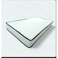 COLCHONETA ESPUMA ECONOMICO CLIPPER LISO 2P D15 X 12CM ALTO