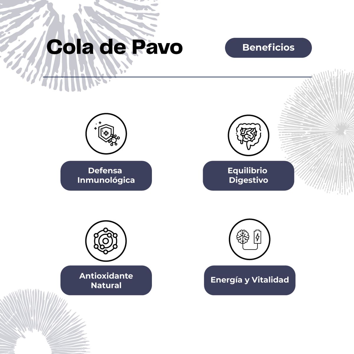 KARUNLIFE - Cola de Pavo 60 Cápsulas Karun Life