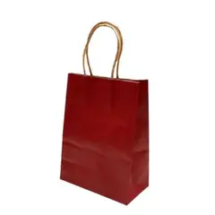 GENERICO - BOLSAS DE REGALO  M
