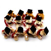 Pack 12 Llavero Osito 9 Cm Graduación