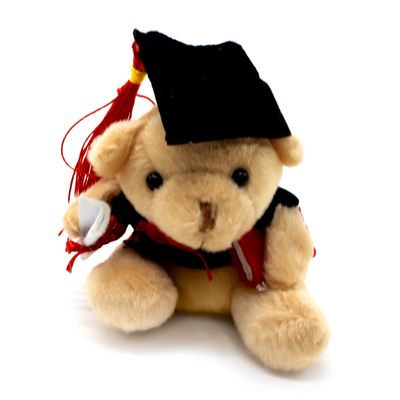 Imagen 2 del producto Pack 12 Llavero Osito 9 Cm Graduación