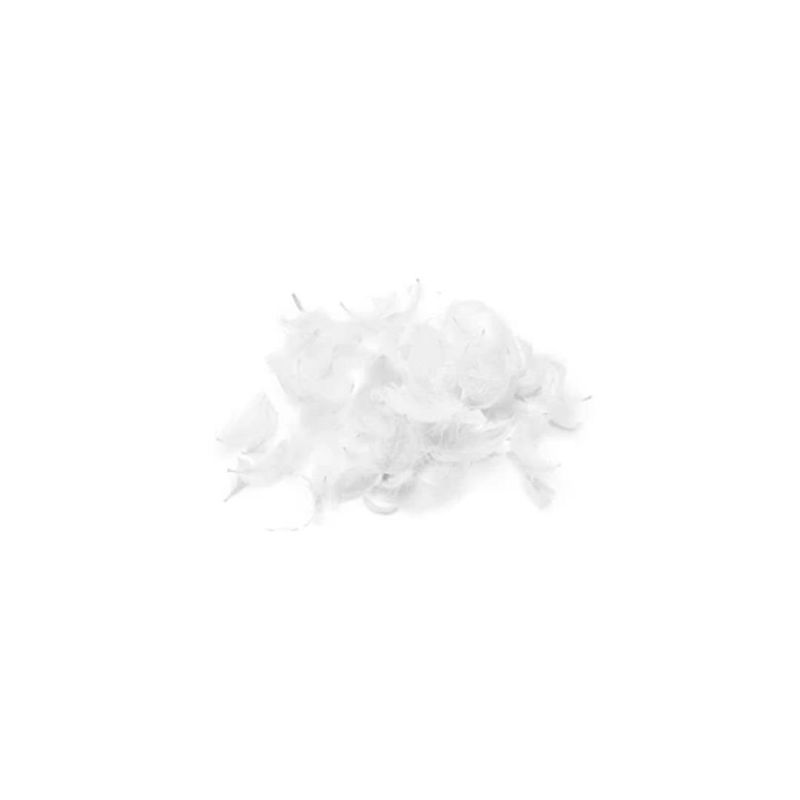 GENERICO - Plumas Color Blanco 100pcs