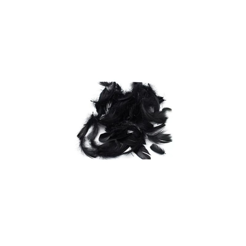 GENERICO - Plumas Color Negro 100pcs