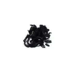 GENERICO - Plumas Color Negro 100pcs
