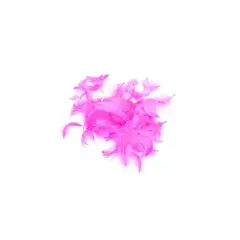 GENERICO - Plumas Decorativas Fucsia 100pcs