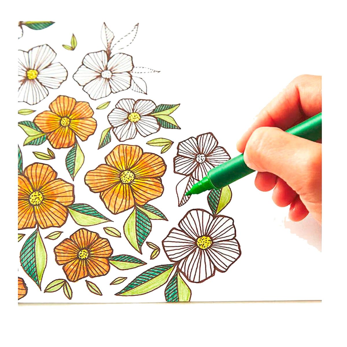 CRICUT - Marcadores De Sublimación Diy Infusible Ink Cricut 5unds