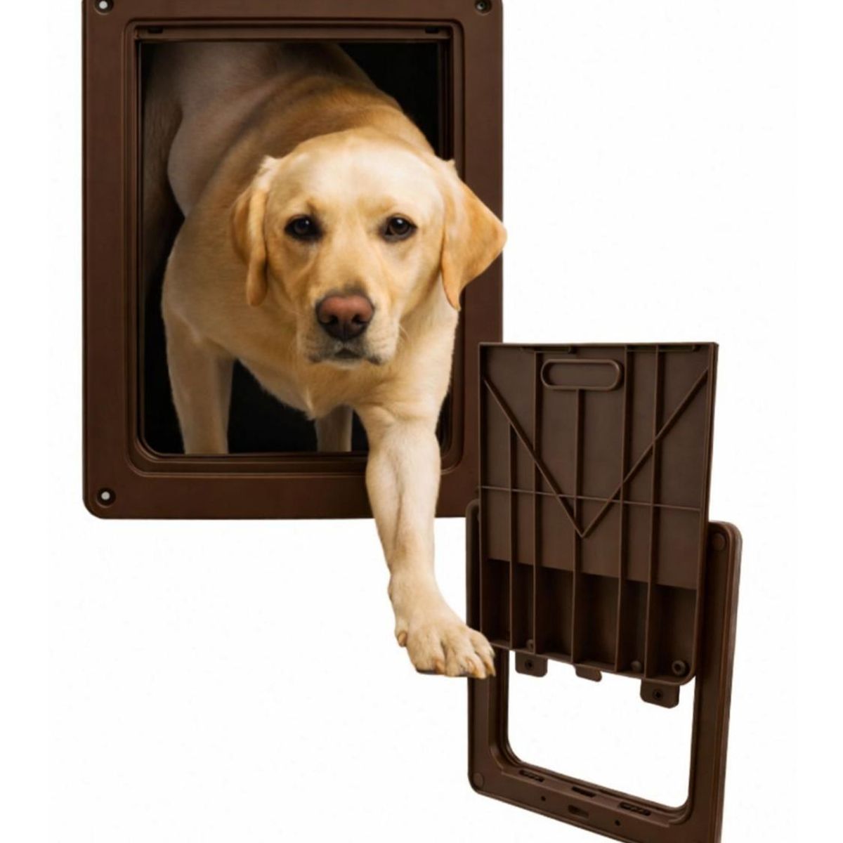GENERICO - Puerta para Perros con Traba Seguridad 35x29 cm Exterior