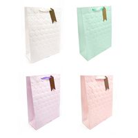 BOLSA DE REGALO CORAZON 3D PASTEL 30X40 X12 UNI