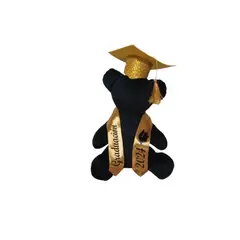 GENERICO - Oso De Peluche Graduación