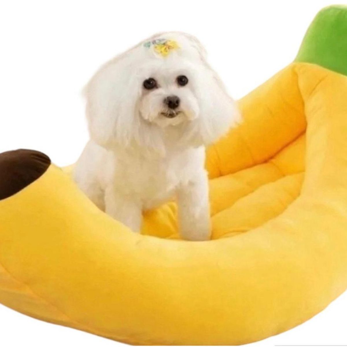 GENERICO - Cama Para Perros Y Gatos Talla M Cama Modelo Banano