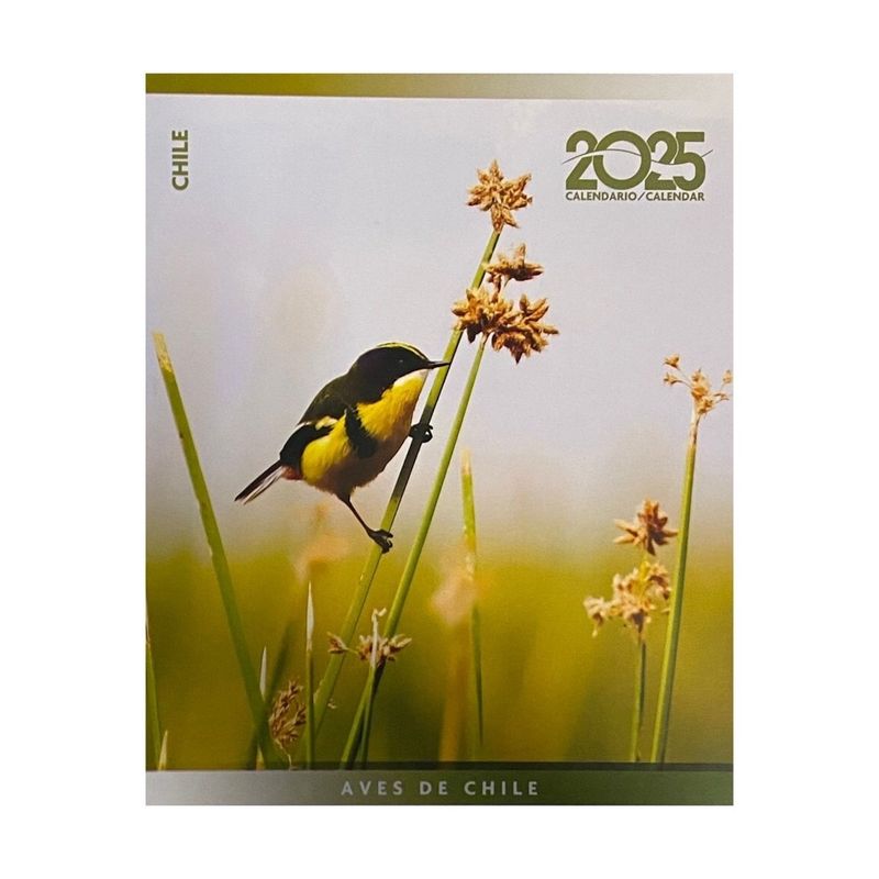 TOP10BOOKS - CALENDARIO ESCRITORIO AVES DE CHILE 2025 / TEMÁTICA CHILE / VARIOS AUTORE