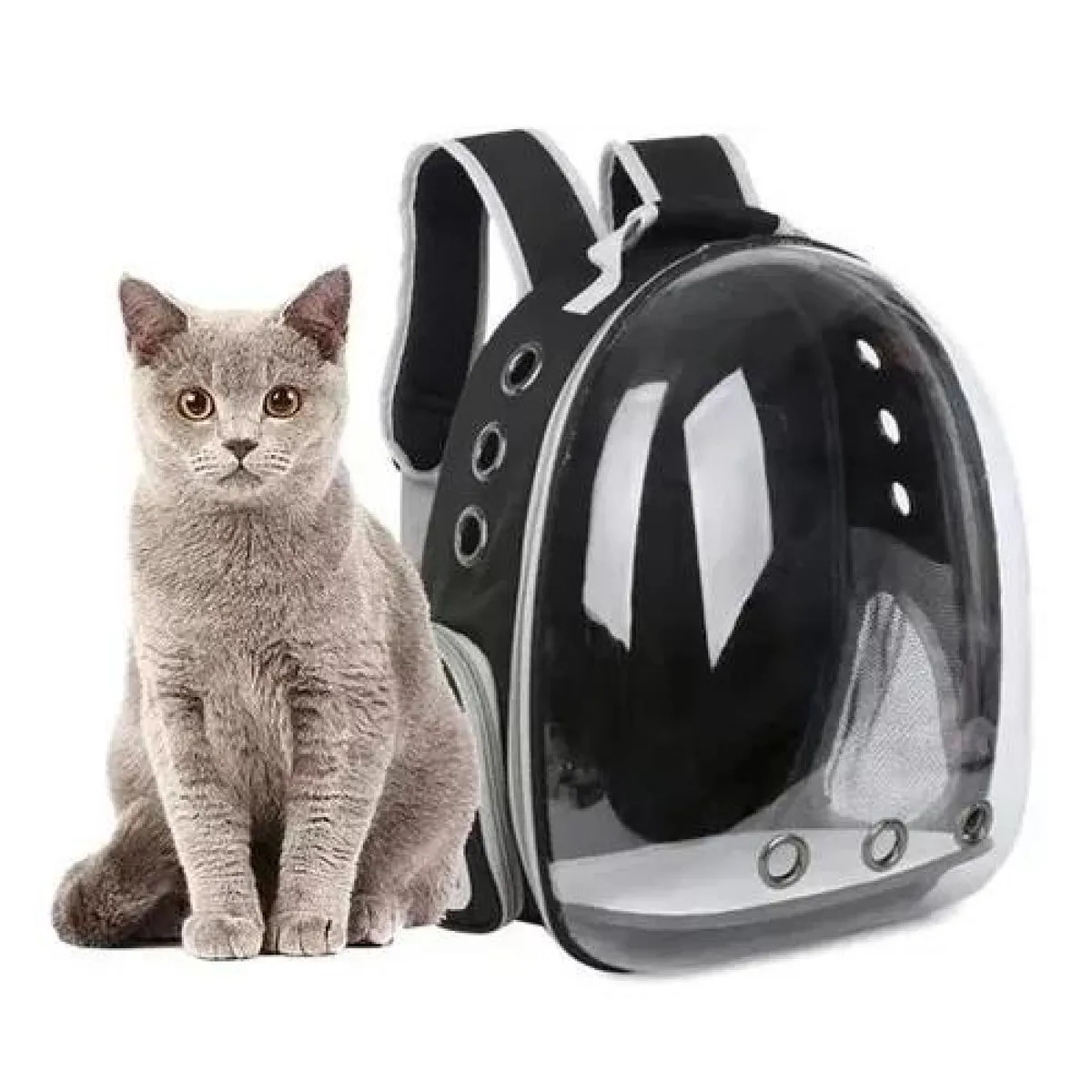 GENERICO - Bolsa de viaje para gatos mochila transparente mascotas gris