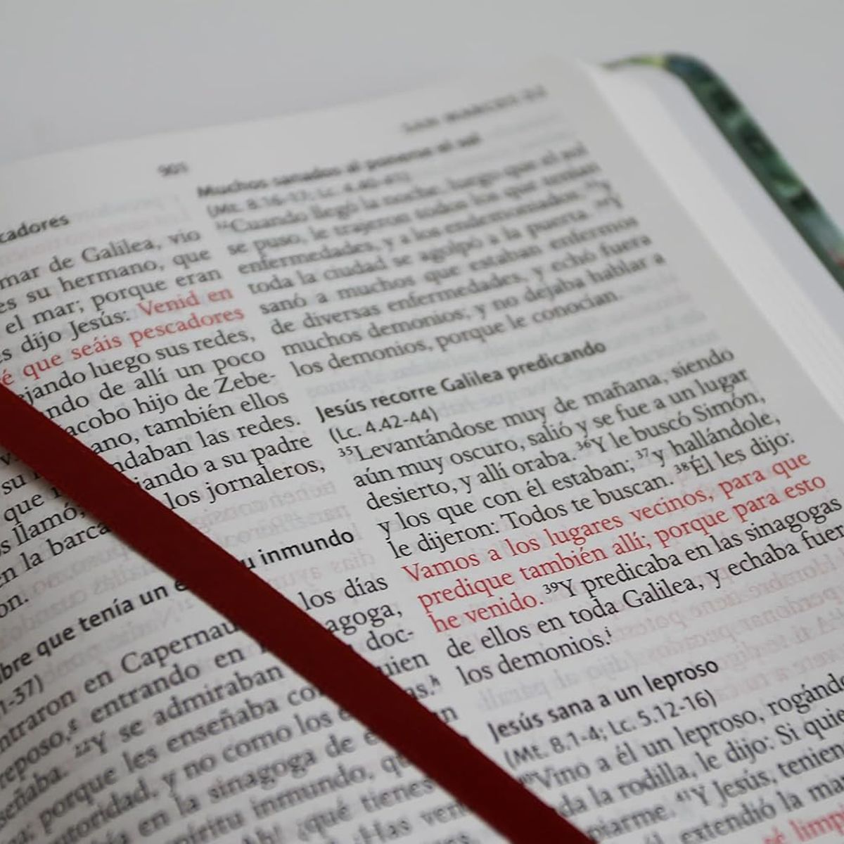 ORIGEN - Biblia RVR 1960 letra grande Tapa dura flores verde