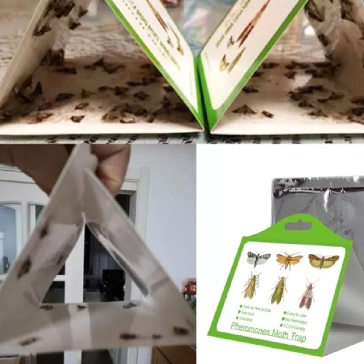 GENERICO - Insective - Trampas Para Polillas De Despensa 3 Unidades