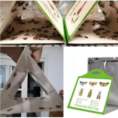 Imagen 2 del producto Insective - Trampas Para Polillas De Despensa 3 Unidades