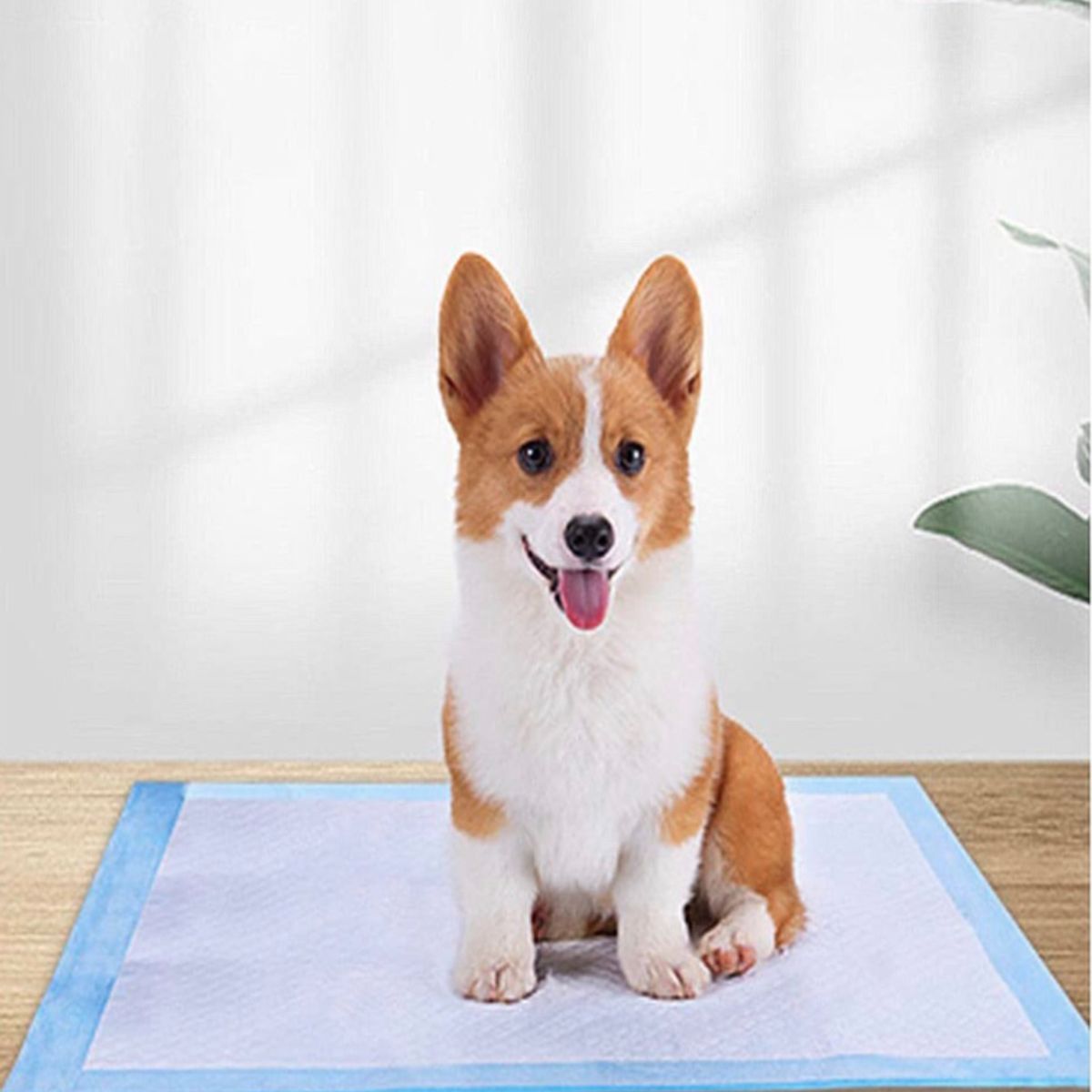 GENERICO - Sabanillas para mascotas Talla L (60 x 60 ) 8 unidades
