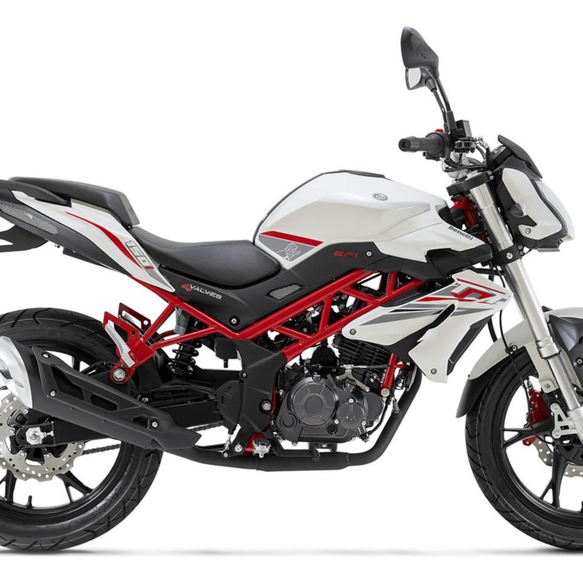 GENERICO - Retenes Telescopicas Moto Benelli Tnt 150i  Tnt 180s