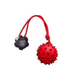GENERICO - Juguete pelota con sonido color rojo