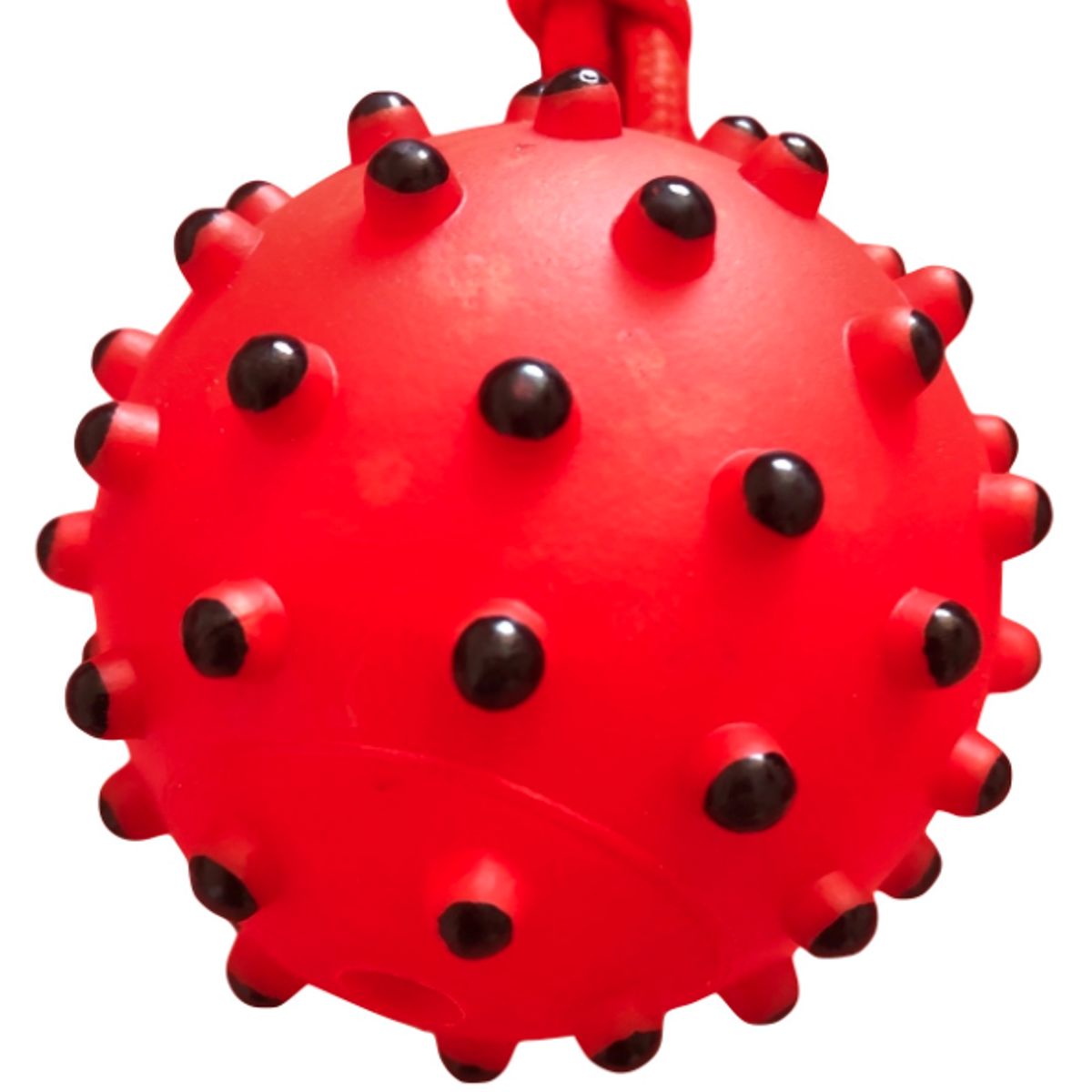 GENERICO - Juguete pelota con sonido color rojo