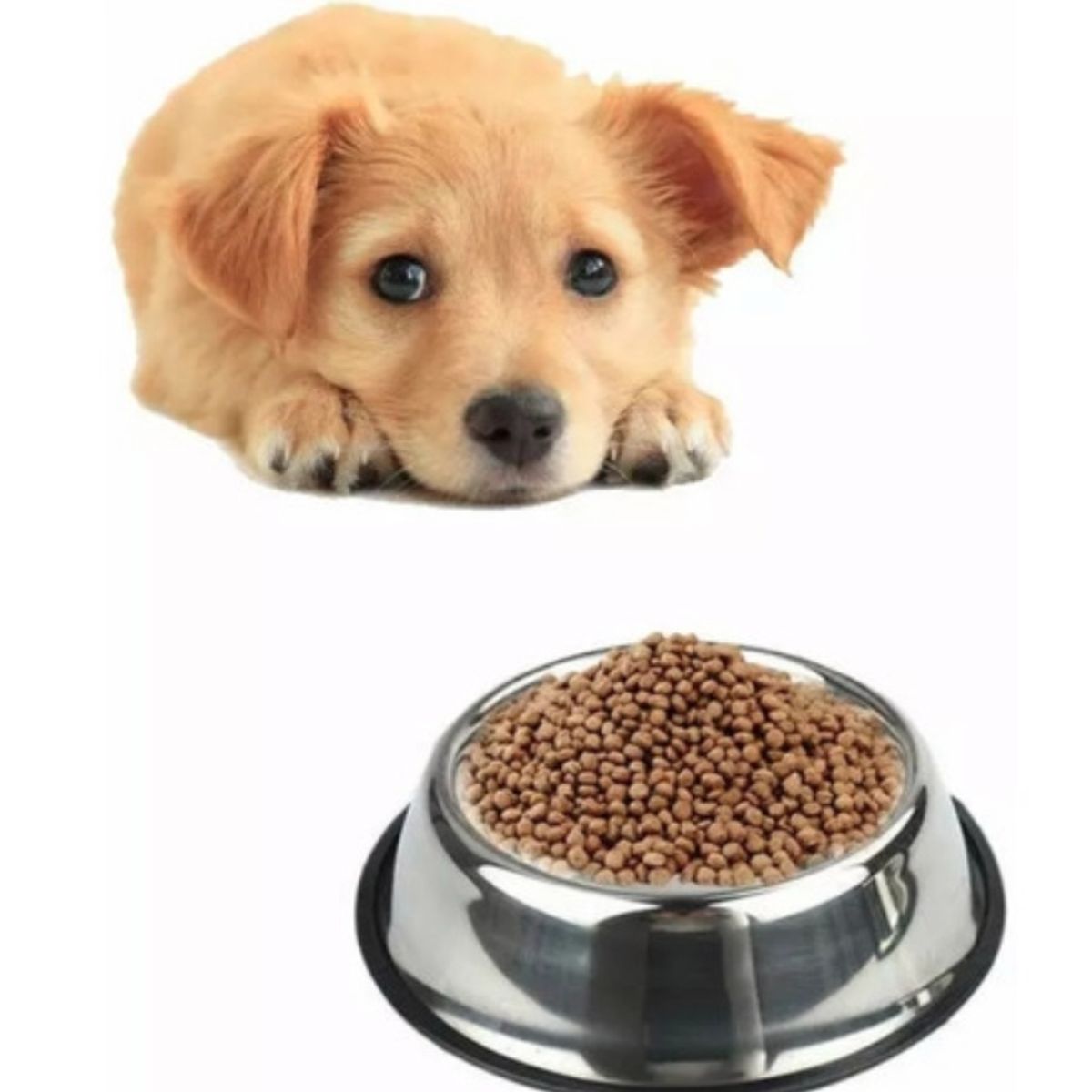 GENERICO - Plato para mascota en acero inoxidable