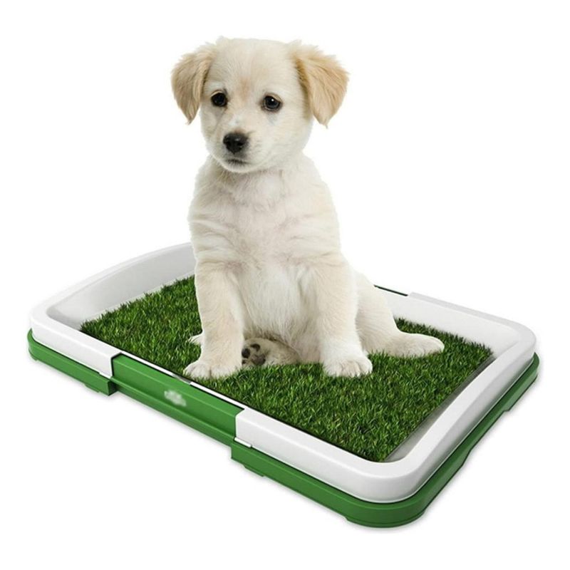 GENERICO - Baño Inodoro Ecologico Para Mascotas 47x34x6cm