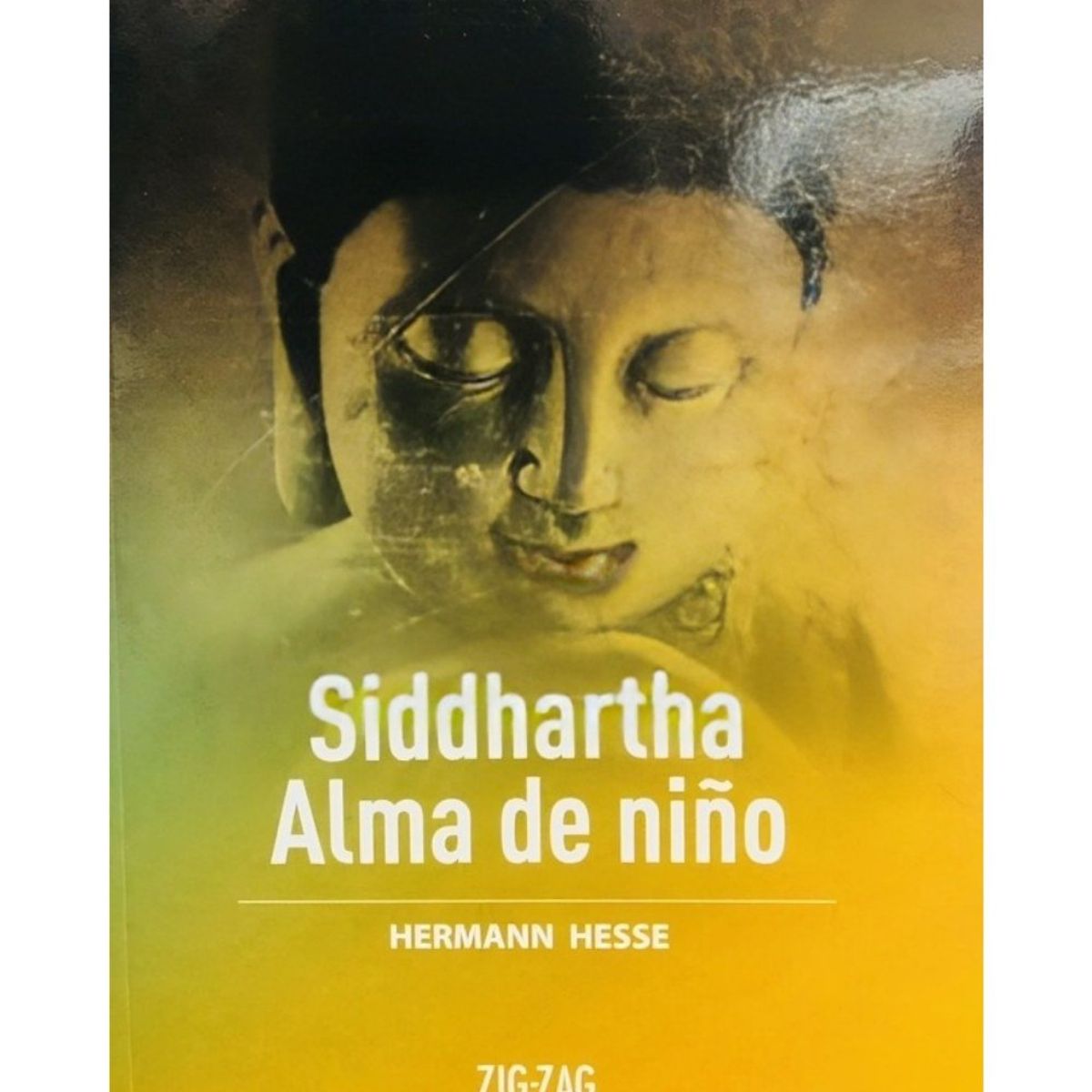 TOP10BOOKS - LIBRO Siddhartha / Alma De Niño - Siddhartha / Alma De Niño