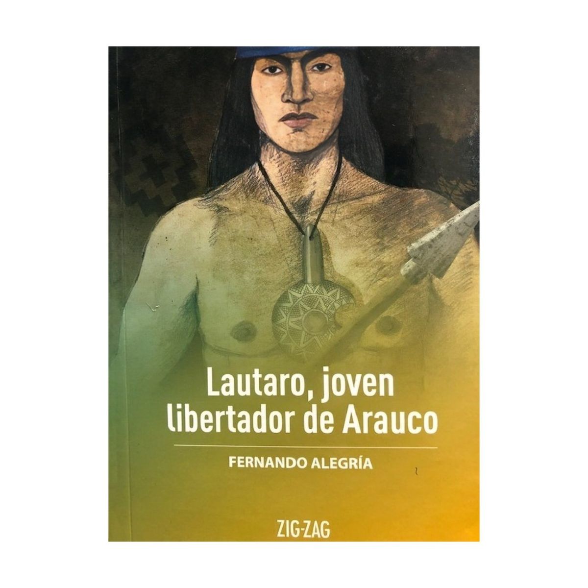 TOP10BOOKS - LIBRO Lautaro, Joven Libertador De Arauco - Lautaro, Joven Libertador De Arauco